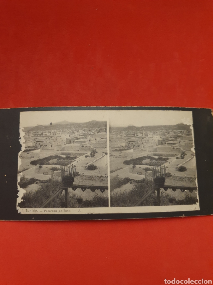 Antique Photography: Tunisie. Panorama de Tunis.1890-1900 Aprox.