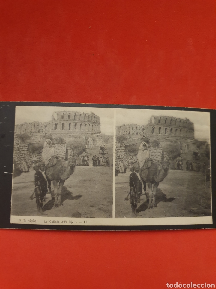 Antique Photography: Tunisie.Le Colisee D'El Djem.1890-1900 Aprox.