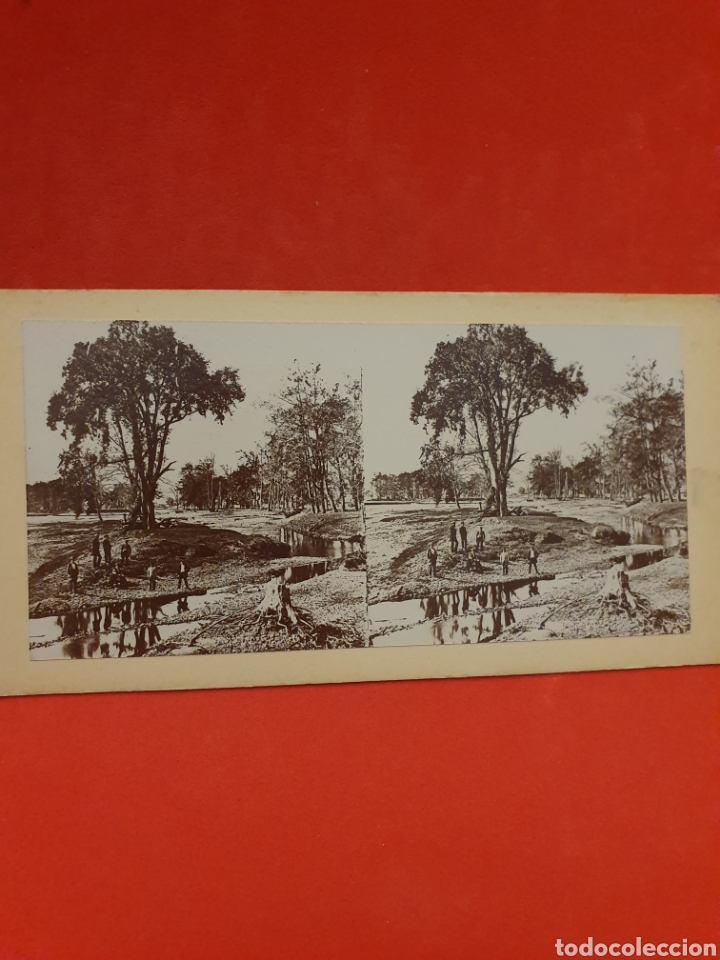 Fotografia antica: New-York. Paisaje.1890-1900 Aprox