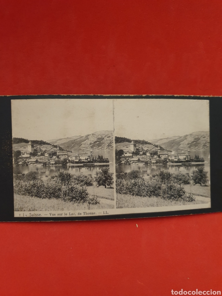 Antique Photography: Suisse.Vue sur le Lac de Thoune.1890-1900 Aprox.