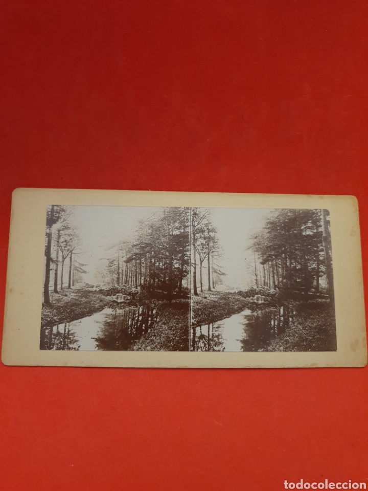 Antique Photography: Francia.Un Paisaje.1890-1900 Aprox.