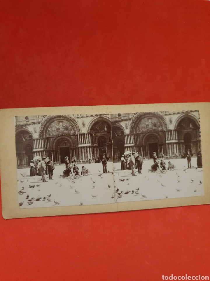 Antique Photography: Italia.Las Palomas de San Marcos.1890-1900 Aprox.