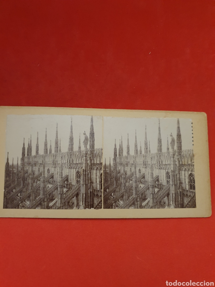 Fotografia antica: Italia.Catedral.1890-1900 Aprox.