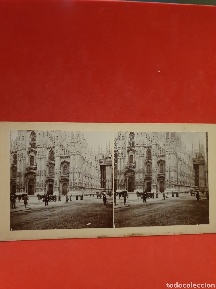 Fotografia antica: Italia.Catedral.1890-1900 Aprox.