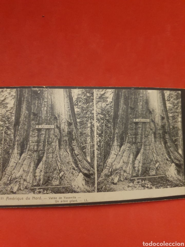 Fotografia antica: Amerique du Nord. Vallee de Yosemile.1890-1900 Aprox.