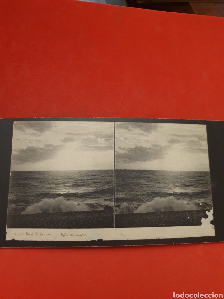 Photographie ancienne: Au bord de la Mar.1890-1900 Aprox.