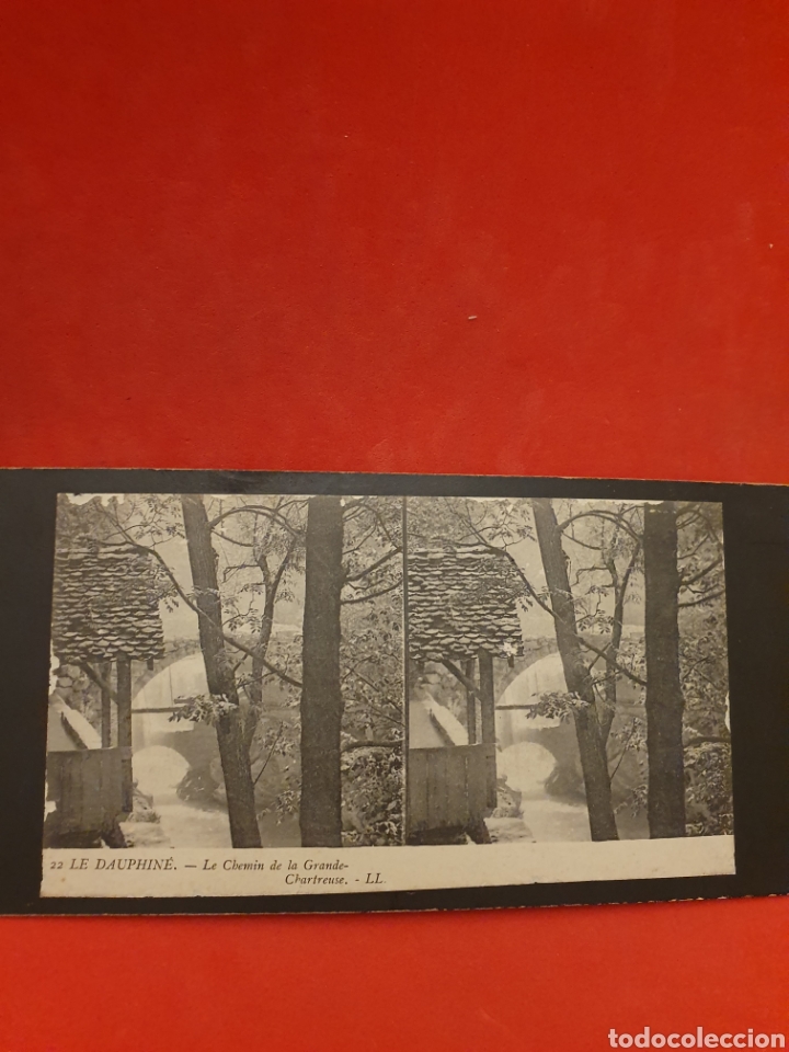 Antique Photography: Le Dauphine.Le Chemin de la Grande-Charfreuse.1890-1900 Aprox.