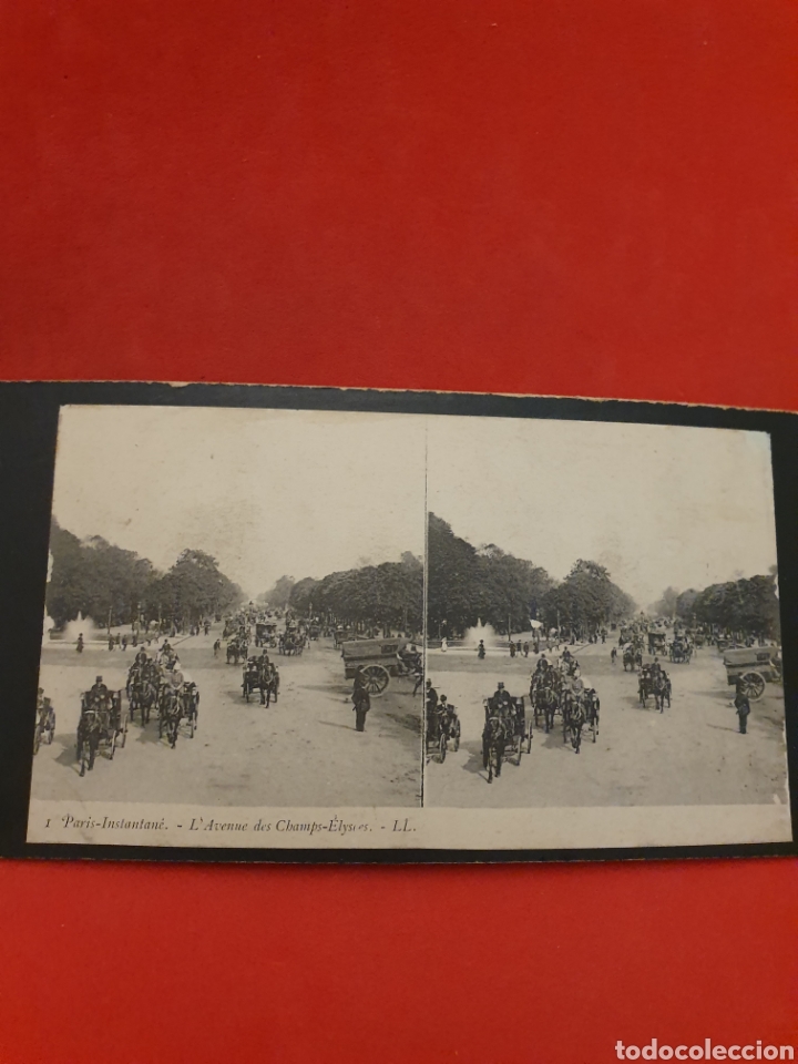 Photographie ancienne: L'Avenne des Champs.1890-1900 Aprox.