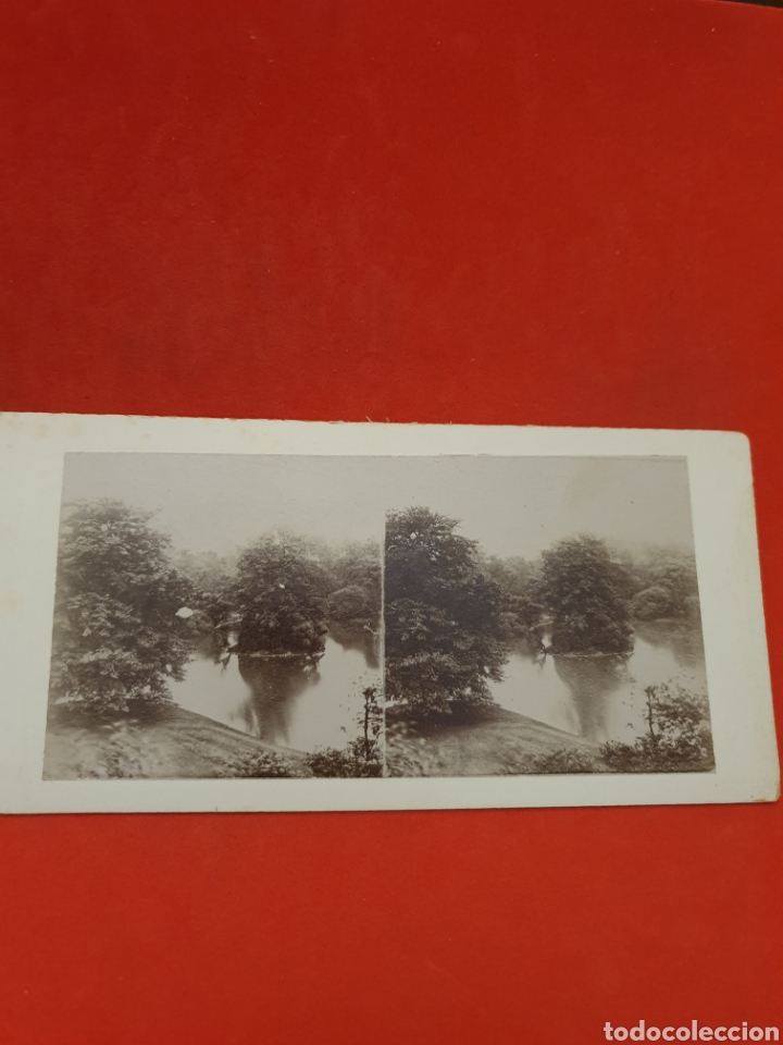 Fotografia antiga: Inglaterra.Parque del Palacio de Baquingam.