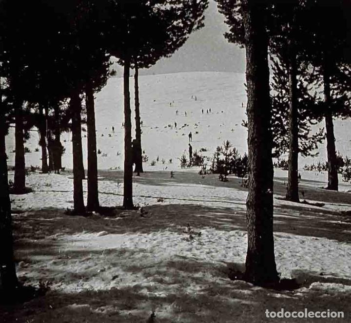 Fotografia antiga: Pirineo. Esquiadores. Nieve. Bosque. Luar sin identificar. c. 1925