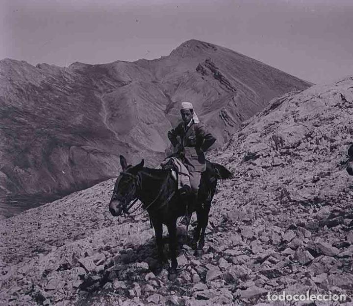 Fotografia antiga: MONTA&Ntilde;ISMO. Joven en una mula. Lugar sin identificar. c. 1930