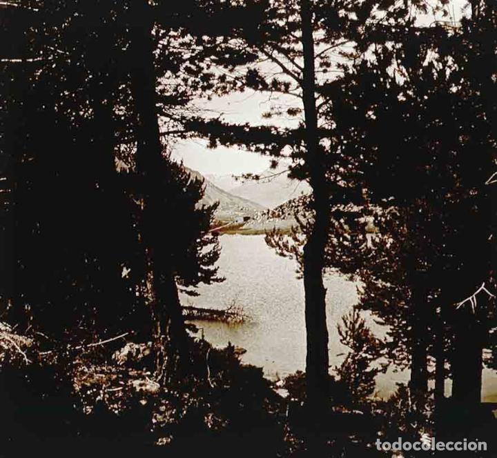 Fotografia antiga: PIRINEOS. Lago. Pinos. c. 1925