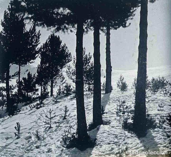 Fotografia antiga: MONTA&Ntilde;ISMO. Paisaje nevado. c. 1925