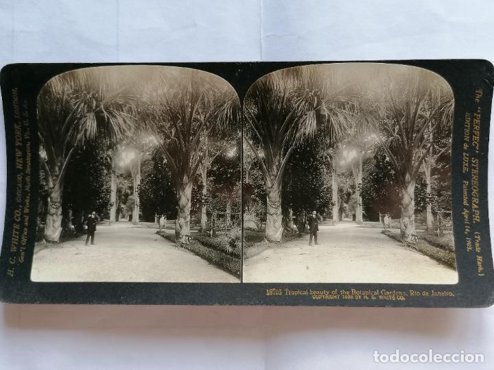 Fotografia antica: FOTOGRAFIA ESTEREOSCOPICA, JARDINES BOTANICOS, RIO DE JANEIRO - BRASIL, A&Ntilde;O 1903, RARA