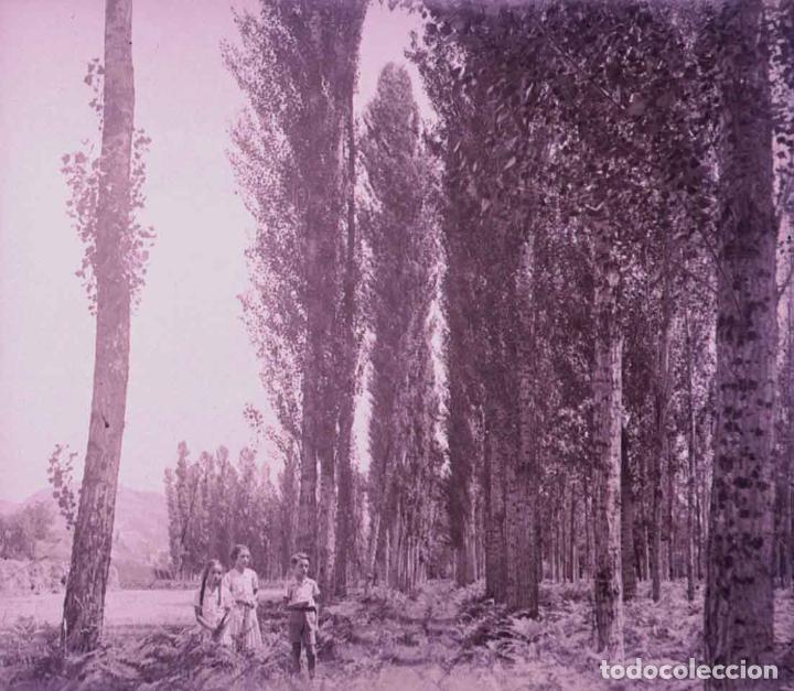 Photographie ancienne: NI&Ntilde;OS Y CHOPOS. Posiblemente pirineo. c.1925