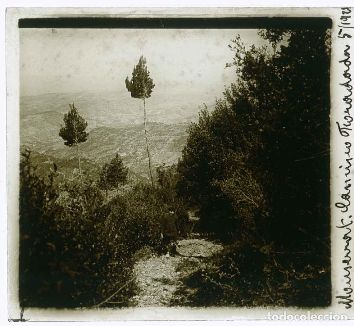 Fotografia antica: MONTSERRAT. NI&Ntilde;O en la subida a la Cova del Vent. 1921