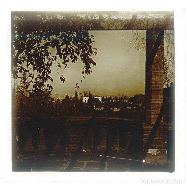 Fotograf&iacute;a antigua: BCN. MONTJUIC. Parque. Vistas. c. 1925