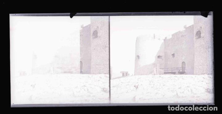 Antique Photography: CASTILLO. Perro. Lugar sin identificar. c. 1925