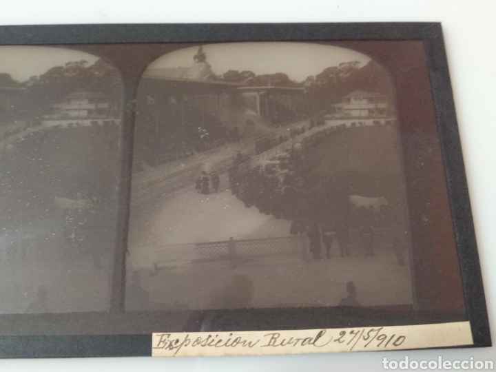 Fotografía antigua: Placa estereoscópica de cristal en positivo. 1910 Feria de ganado a identificar. Bilbao? - Foto 5 - 216399523