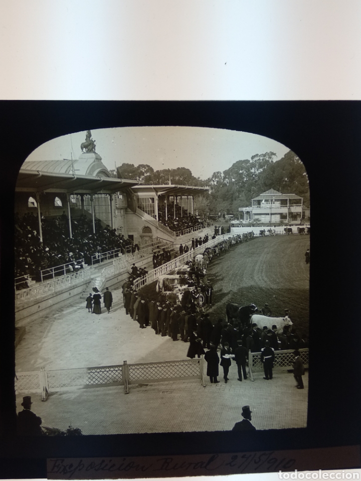 Fotografía antigua: Placa estereoscópica de cristal en positivo. 1910 Feria de ganado a identificar. Bilbao? - Foto 2 - 216399523