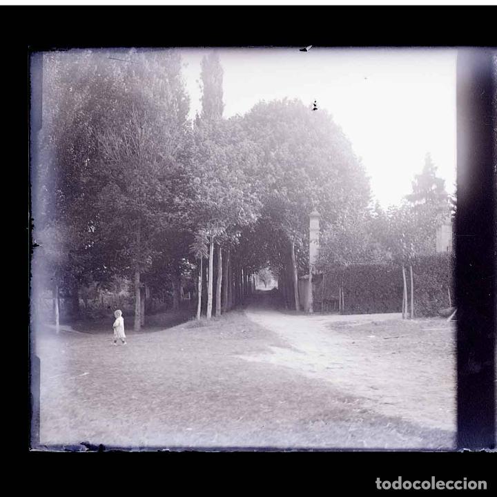 Fotografia antiga: PARQUE. Ni&ntilde;o. Curiosa imagen. c. 1925