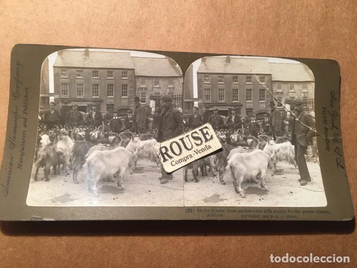 Fotografia antica: ATHLONE- IRELANR ANTIGUA FOTOGRAFIA ESTEREOSCOPICA (25) IN THE NANNY GOAT MARKET - THE MILK SUPPLY