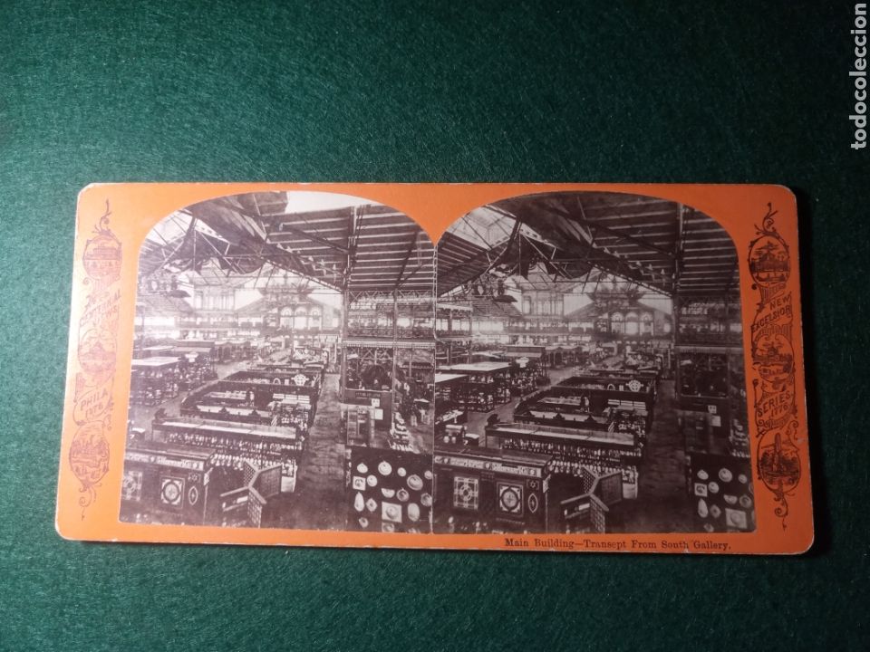 Fotografia antica: Main Building - Transept From South Gallery