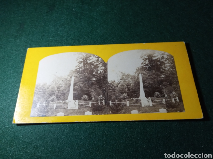 Fotograf&iacute;a antigua: Parque sin identificar. - Foto 1