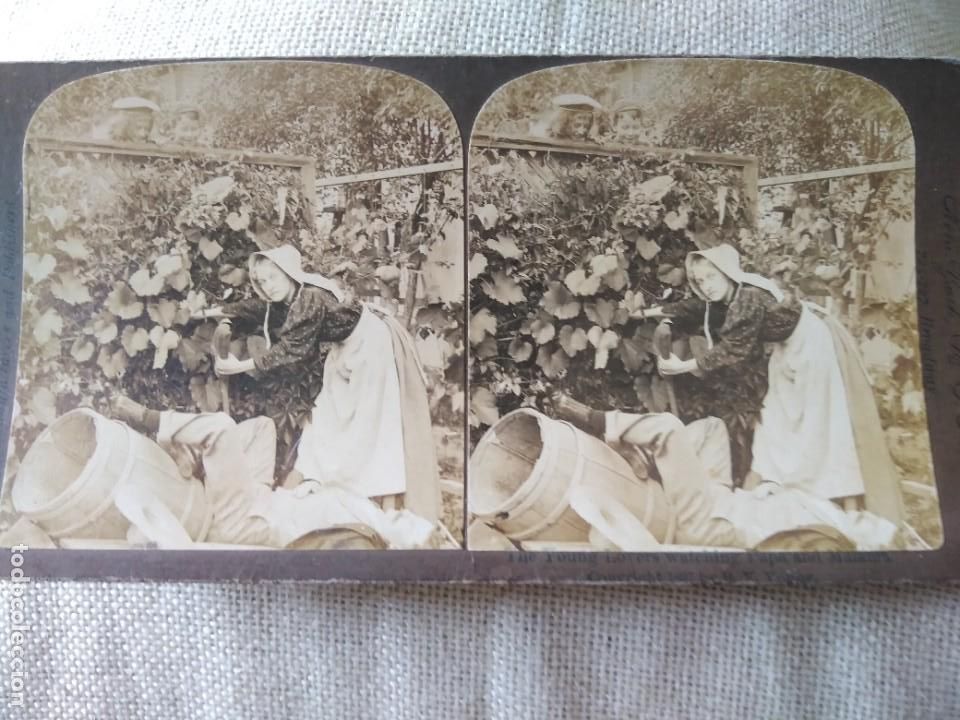 Fotografia antica: 1897 Foto estereoscopica. Ni&ntilde;os mirando a sus padres