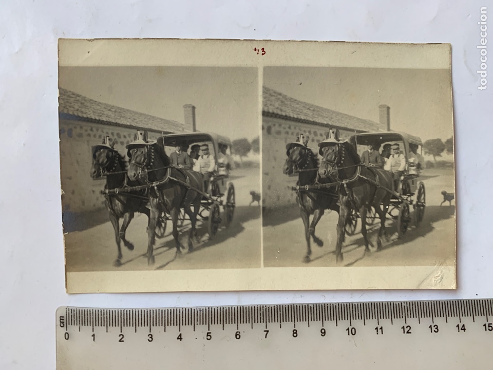 Fotograf&iacute;a antigua: FOTO ESTEREOSCOPICA. DE PASEO EN LA TARTANA. FOT&Oacute;GRAFO?. COMIENZOS S. XX.