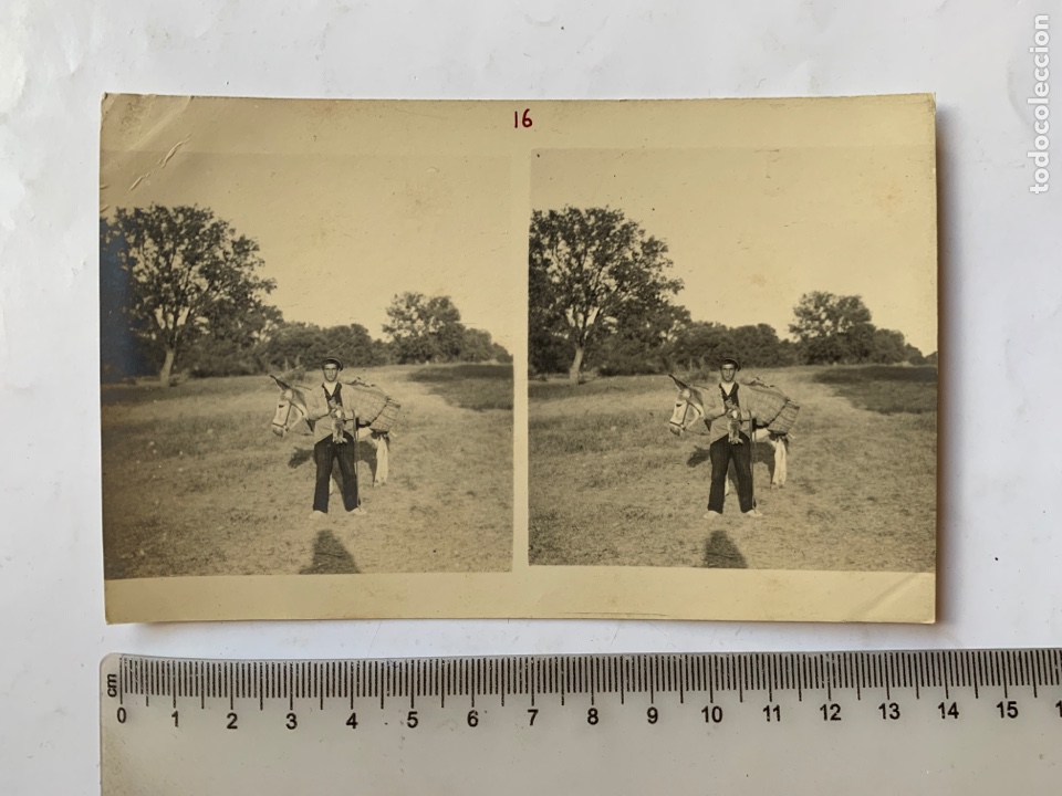 Fotograf&iacute;a antigua: FOTO ESTEREOSCOPICA. POR EL CAMPO CON LA MULA Y ALFORJAS. FOT&Oacute;GRAFO?. COMIENZOS S.XX.