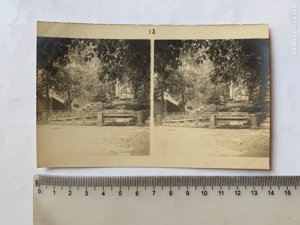 Fotograf&iacute;a antigua: FOTO ESTEREOSCOPICA. RINC&Oacute;N DEL PARQUE. FOT&Oacute;GRAFO?. COMIENZOS S. XX.
