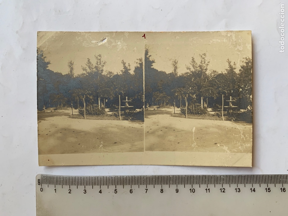 Fotograf&iacute;a antigua: FOTO ESTEREOSCOPICA. FUENTE DEL PARQUE. FOT&Oacute;GRAFO?. COMIENZOS S. XX.