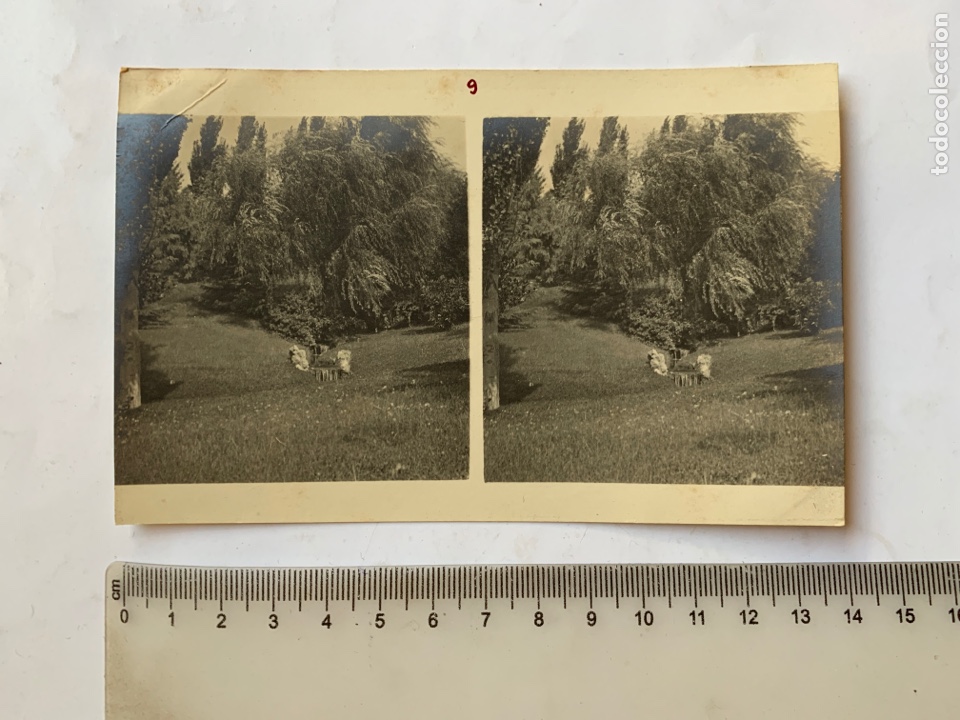 Fotograf&iacute;a antigua: FOTO ESTEREOSCOPICA. BELLEZA NATURAL. FOT&Oacute;GRAFO?. COMIENZOS S. XX.