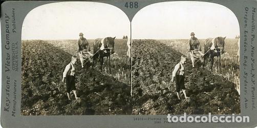 Fotograf&iacute;a antigua: Estereosc&oacute;pica Keystone 488 A Russian peasant plowing. Un campesino Ruso arando.