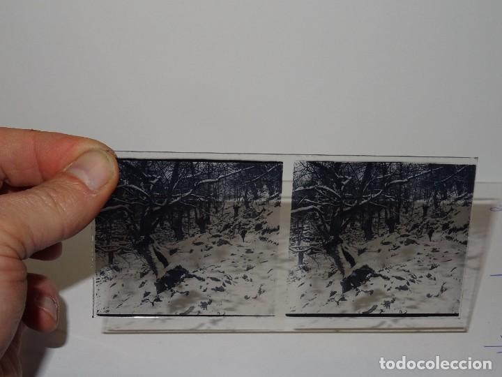 Fotografia antiga: (M19) CRISTAL ESTEREOSC&Oacute;PICO - VISTA DE CATALU&Ntilde;A - 13X6XM, SE&Ntilde;ALES DE USO NORMALES