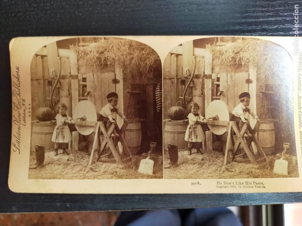 Fotografia antica: No le gustan sus pantalones. Estereosc&oacute;pica. Littleton View Company 1891