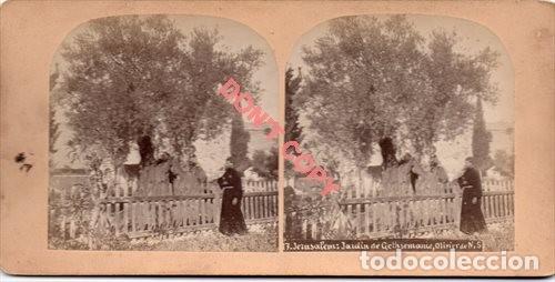 Photographie ancienne: ANTIGUA FOTOGRAFIA ESTEREOSCOPICA, JERUSALEN, GETSEMANI, MONTE DE LOS OLIVOS