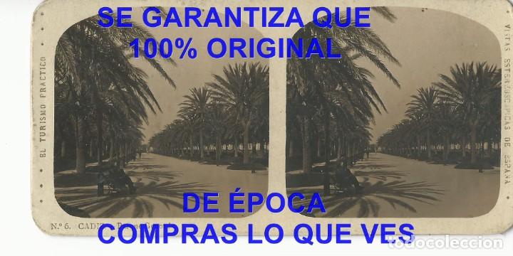 Fotograf&iacute;a antigua: CADIZ PARQUE GENOV&Eacute;S 6 FOTOGRAFIA ESTEREOSCOPICA 17X9 U99