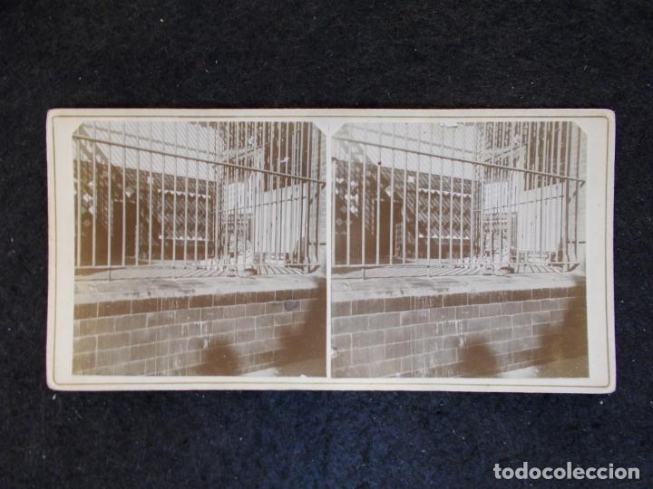 Fotografia antiga: BARCELONA-ZOO-ESTEREOSCOPICA-FOTOGRAFIA ANTIGUA-VER FOTOS-(K-6492)