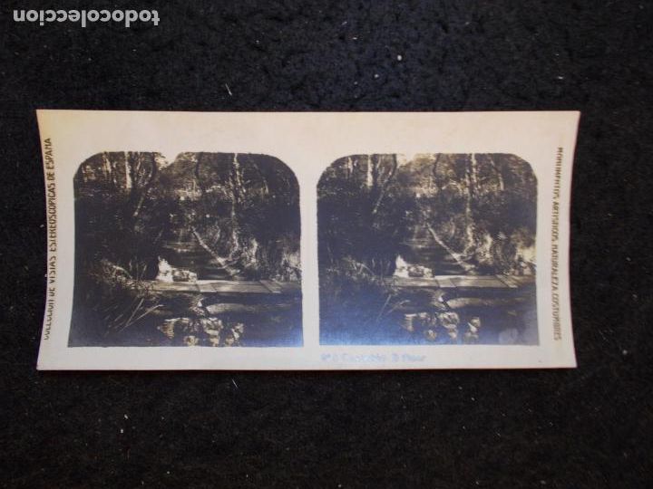 Fotografia antiga: CASTELLON-EL PINAR-ESTEREOSCOPICA-FOTOGRAFIA ANTIGUA-VER FOTOS-(K-6505)