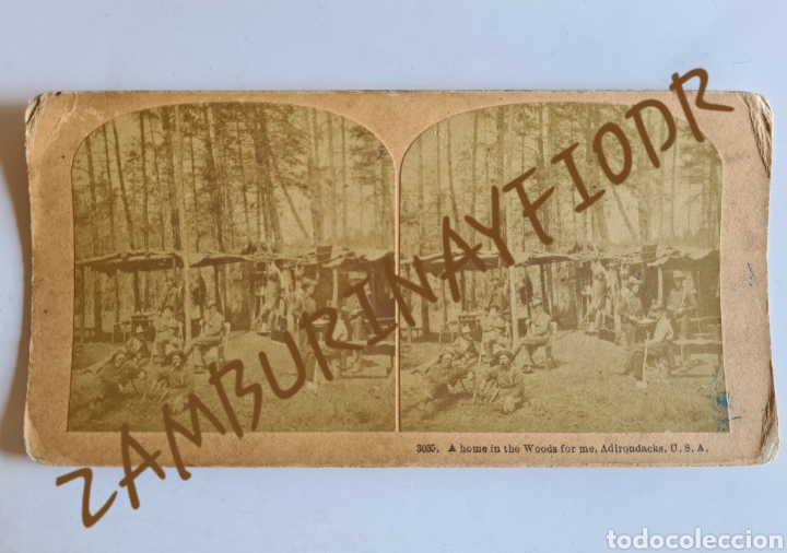 Fotografia antiga: Antigua Fotograf&iacute;a Estereosc&oacute;pica A Home in the Woods for Me, Adirondacks, USA - Kilburn - Le&ntilde;adores