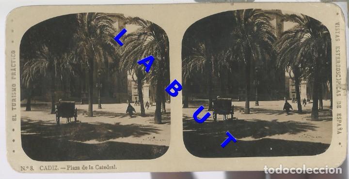 Fotografia antiga: CADIZ PLAZA DE LA CATEDRAL 8 17X9 FOTOGRAFIA ESTEREOSCOPICA U49