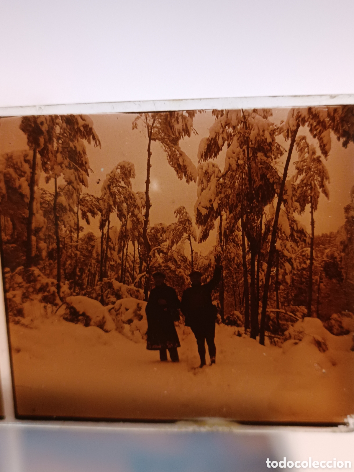 Fotografia antica: 2 est&eacute;reoscopicas nevada 1923
