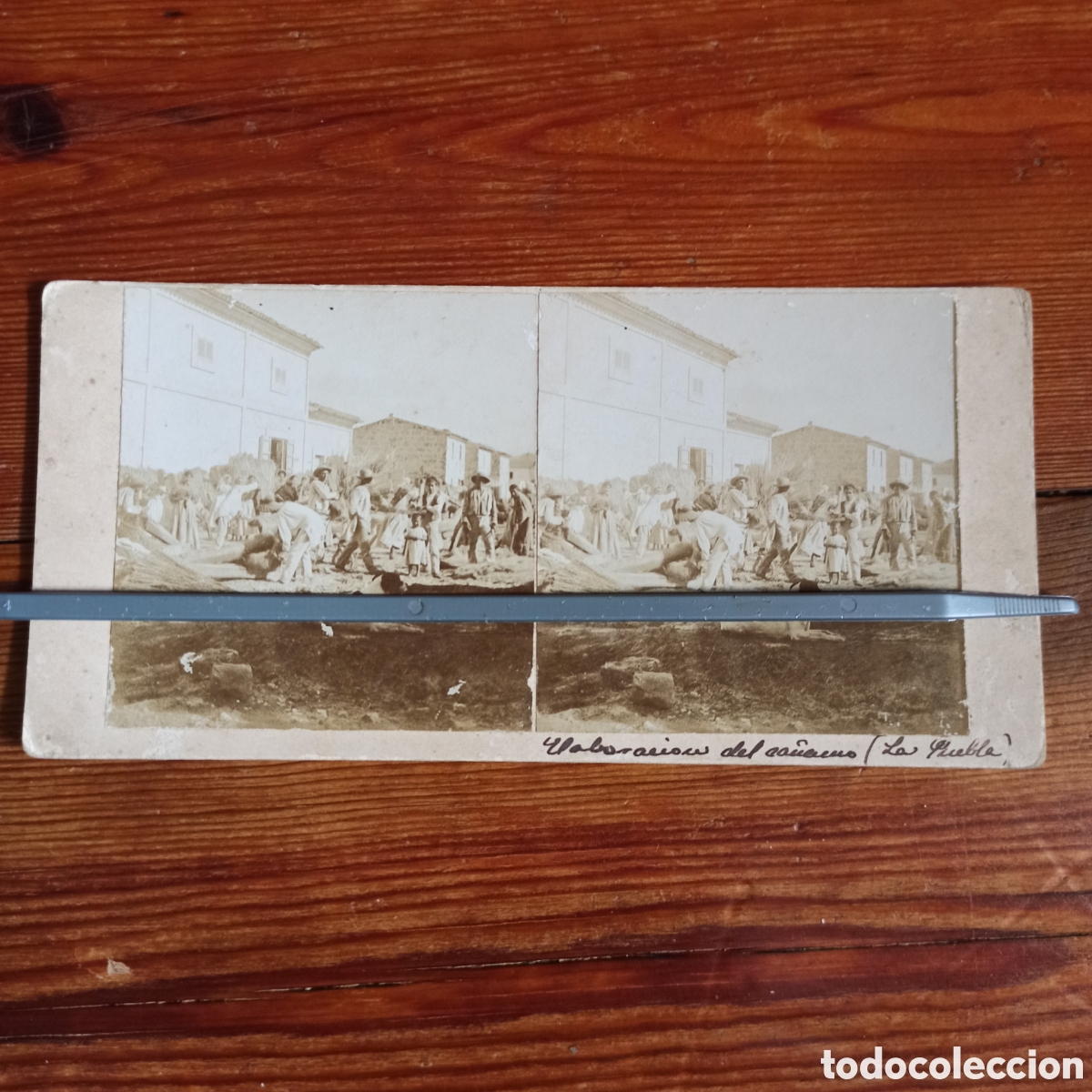 Fotograf&iacute;a antigua: Estereoscopica de Mallorca, La puebla, sa pobla
