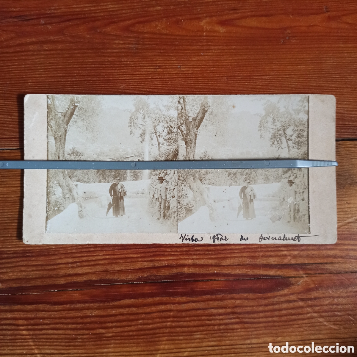 Fotograf&iacute;a antigua: Estereoscopica de Mallorca, Vista general de fornalutx