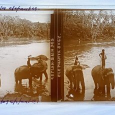 Fotografía antigua: FOTOGRAFIA ESTEREOSCOPICA EN CRISTAL DE CEYLAN, SRI LANKA, BAÑO DE LOS ELEFANTES, ETNICA, AÑO 1905 A