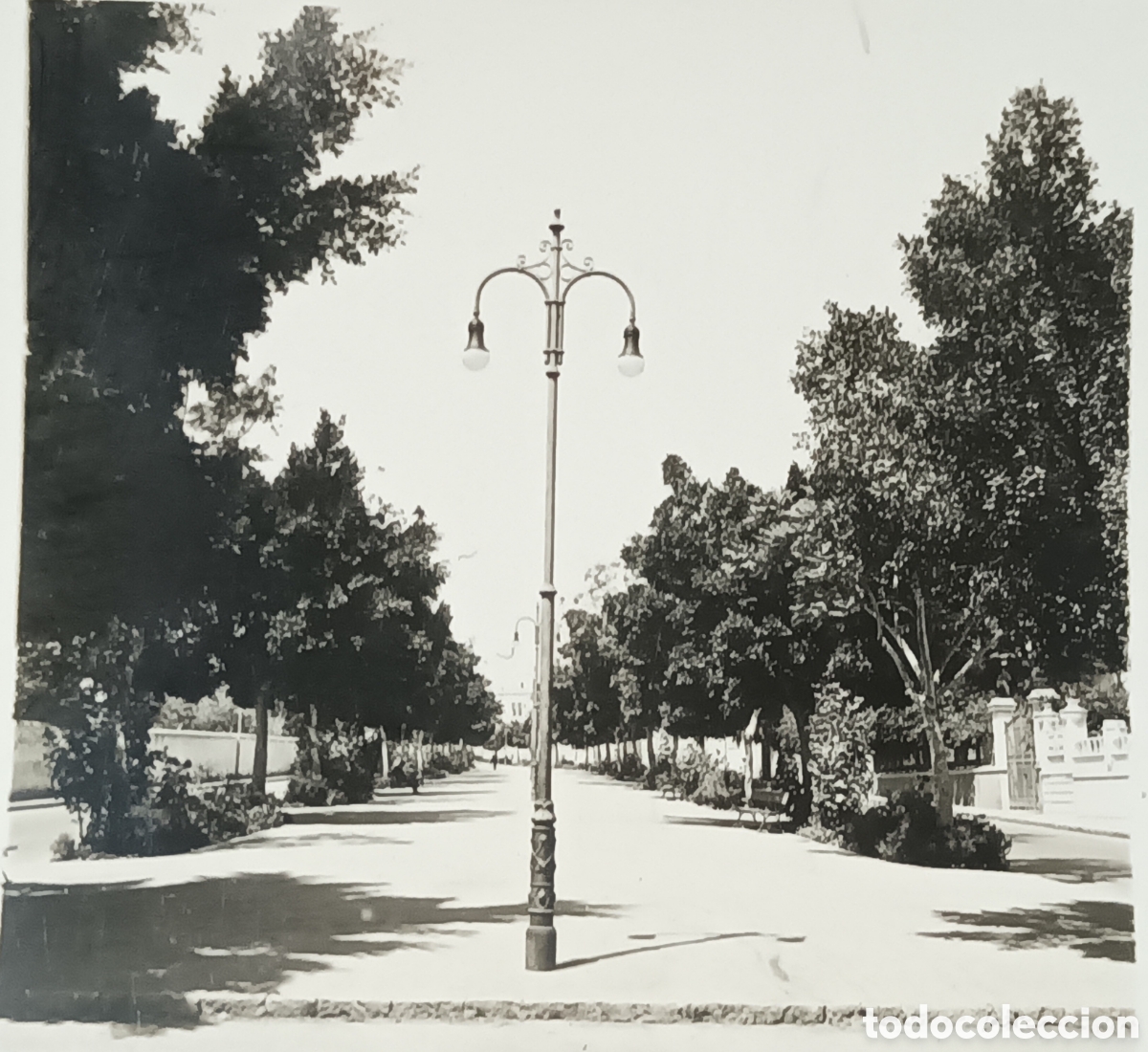 Photographie ancienne: FOTOGRAF&Iacute;A ESTEREOSC&Oacute;PICA 6X13.RAMBLA 11 FEBRERO SANTA CRUZ TENERIFE. LA MASCOTA DIEGO MORENO.1932
