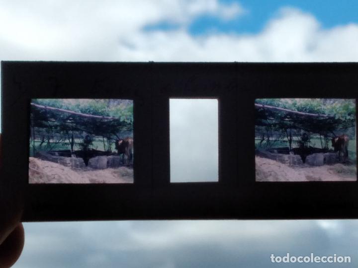 Photographie ancienne: COIMBRA PORTUGAL VISTA ESTEREOSCOPICA EN CELULOIDE 10,5 X 4,5 CMTS