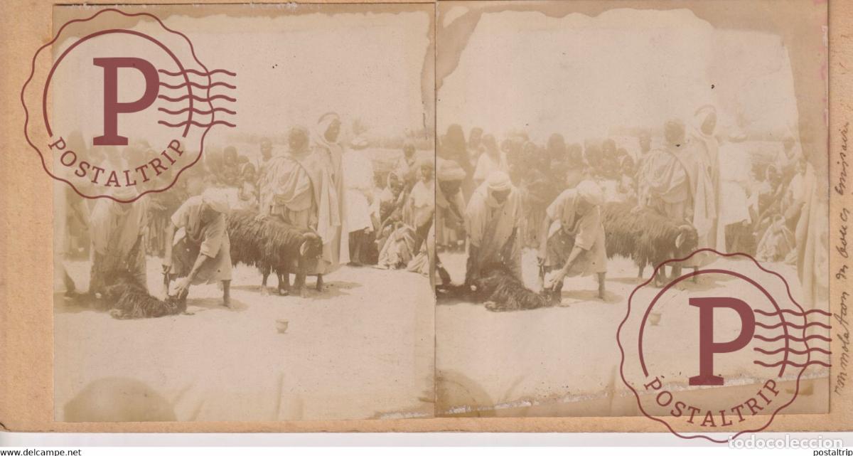 Fotografia antica: AFRIQUE AFRICA SOME DAMAGE ON 2ND PHOTO HAVE A GOOD LOOK ESTEREOSCOPICA. ST&Eacute;R&Eacute;OSCOPIQUE. STEREOS
